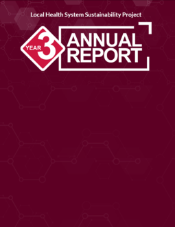 Screen shot of report cover